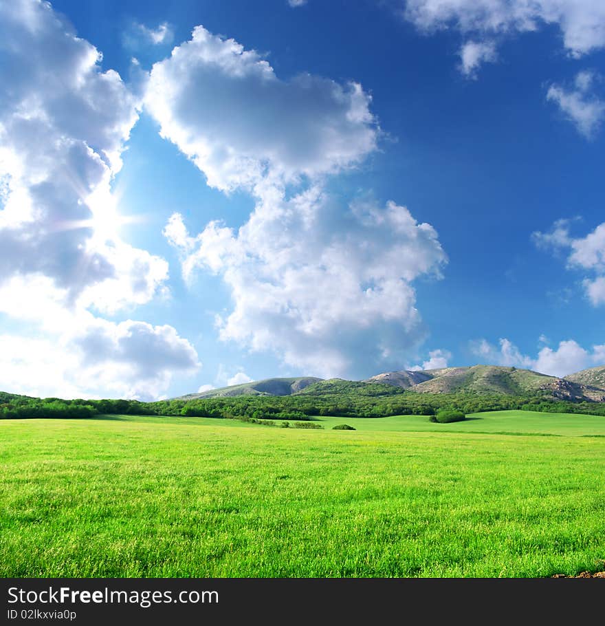 Green meadow in mountain. Composition of nature.