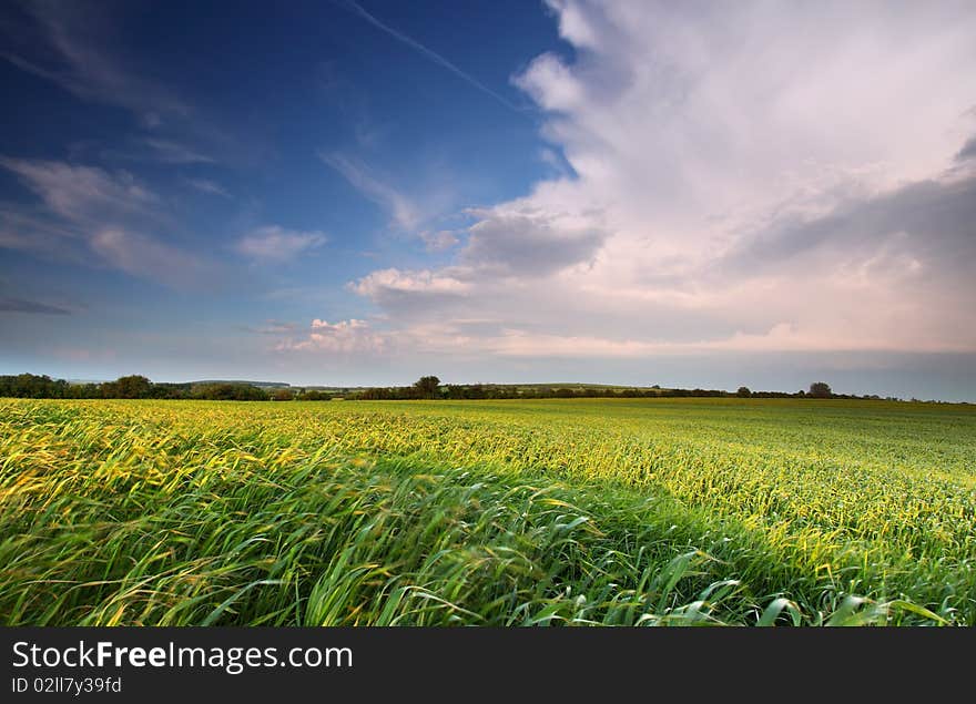 Dramatic clound on spring field