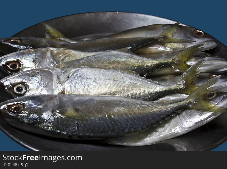 Mackerels prepare to cook in stainless dish. Mackerels prepare to cook in stainless dish