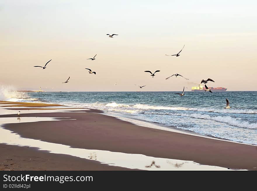 Lighthouse And  Seagull