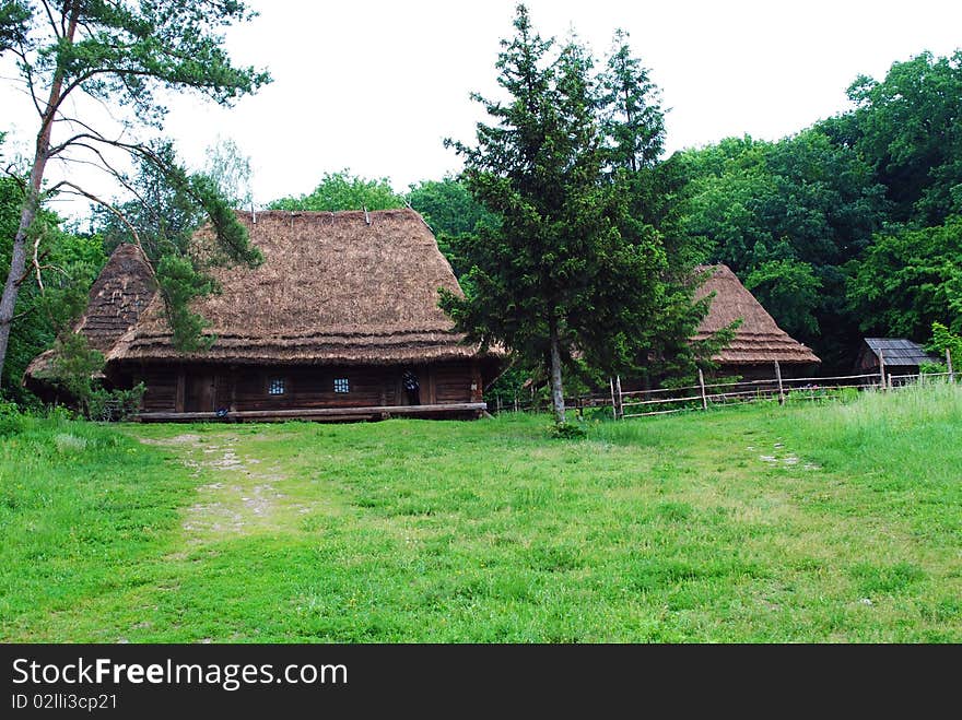 Old wooden house in a forest