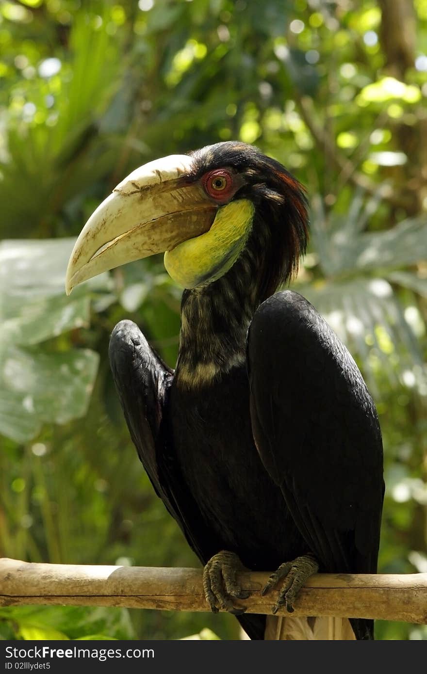 Bird sitting on a branch