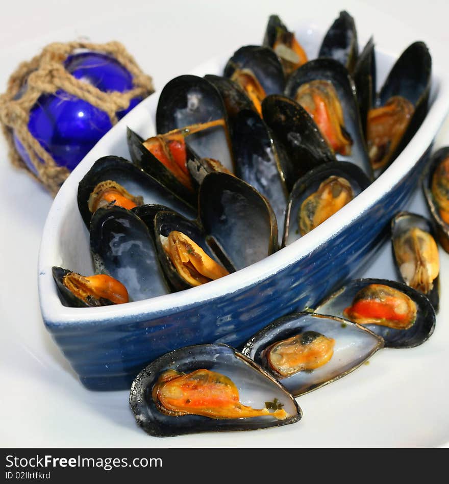 Mussels in the shell on a white backgroung