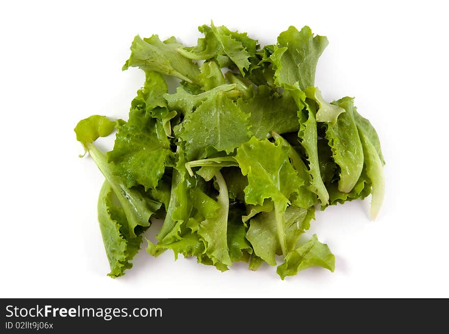 A green salad isolated on white background