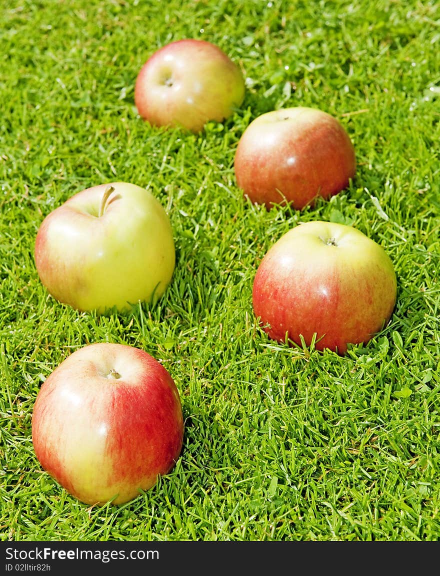 Five apples in garden grass