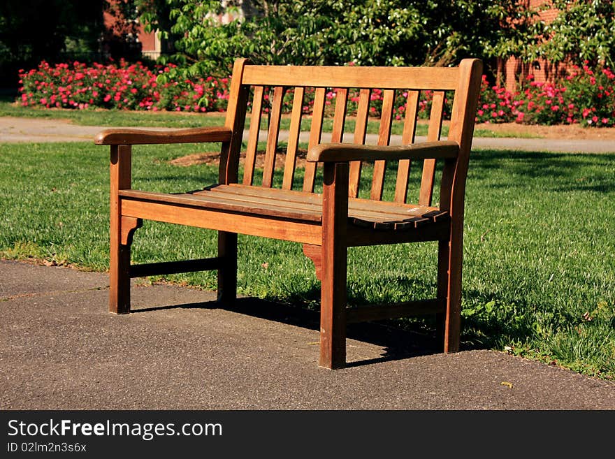 Lonely wooden bench in a park