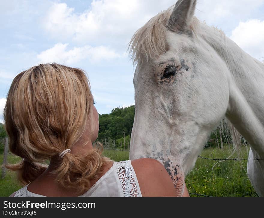 Young girl with a white horse. Young girl with a white horse.