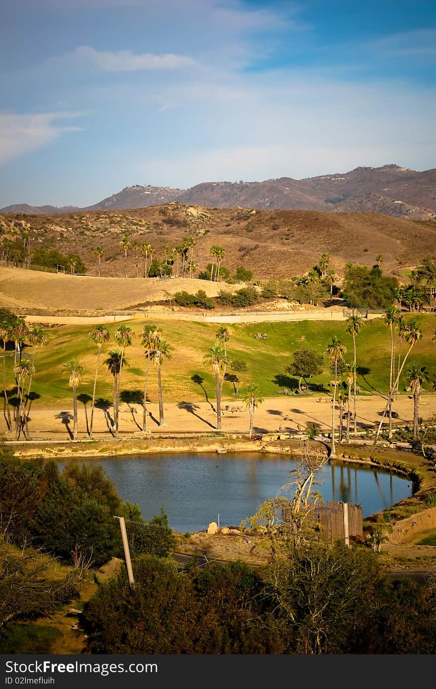 Beautiful landscape with pond and palm trees. Beautiful landscape with pond and palm trees.