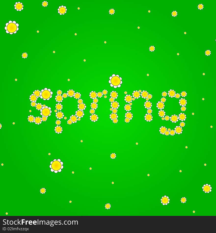 Spring landscape with daisies on meadow