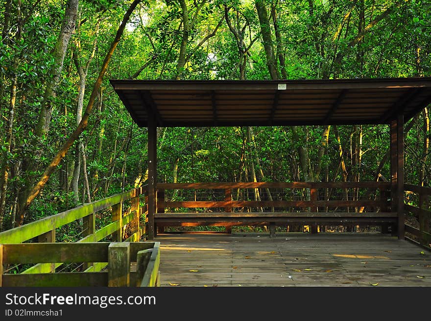 Wooden Swamp Hut