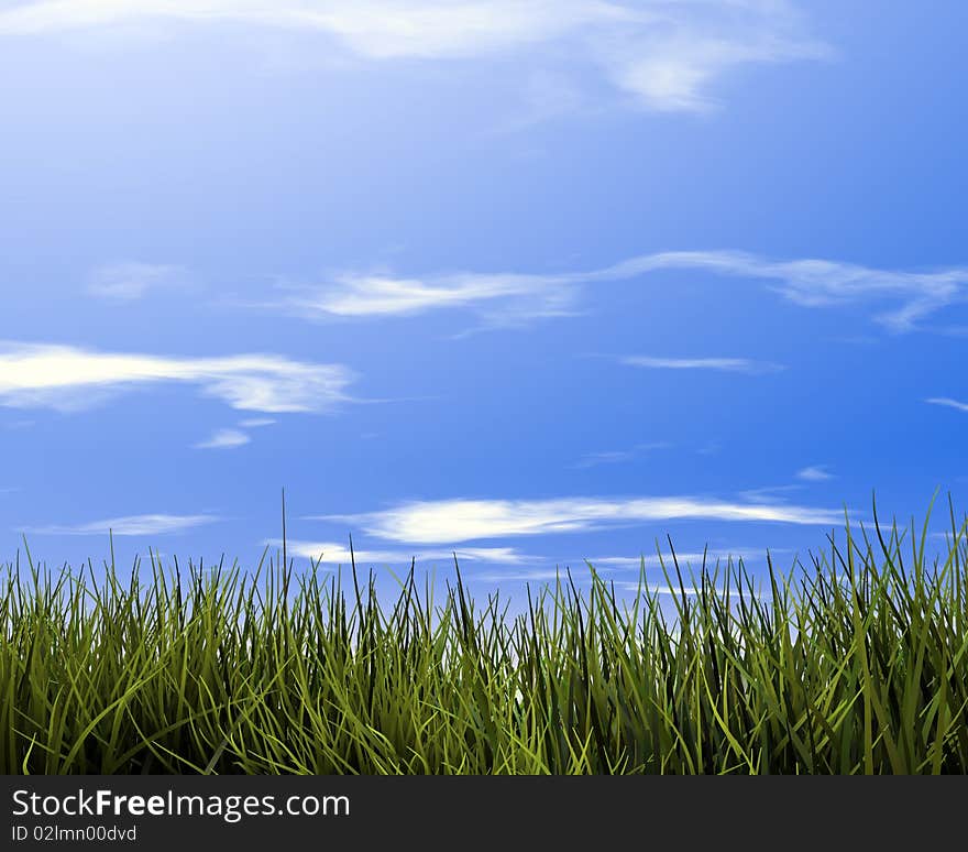 Grass background and the sky