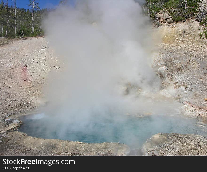 Yellowstone Geyser