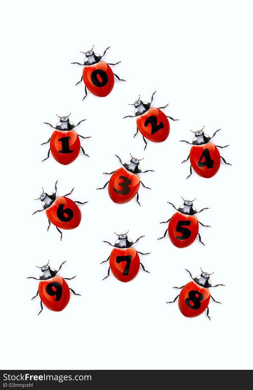 Numerals From Ladybirds