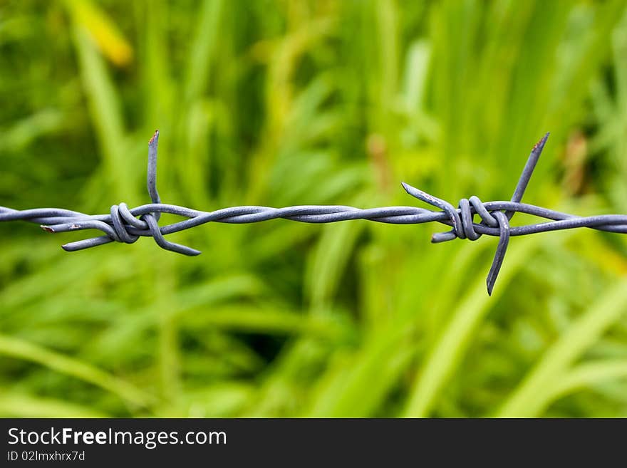 Barbed wire on blur background