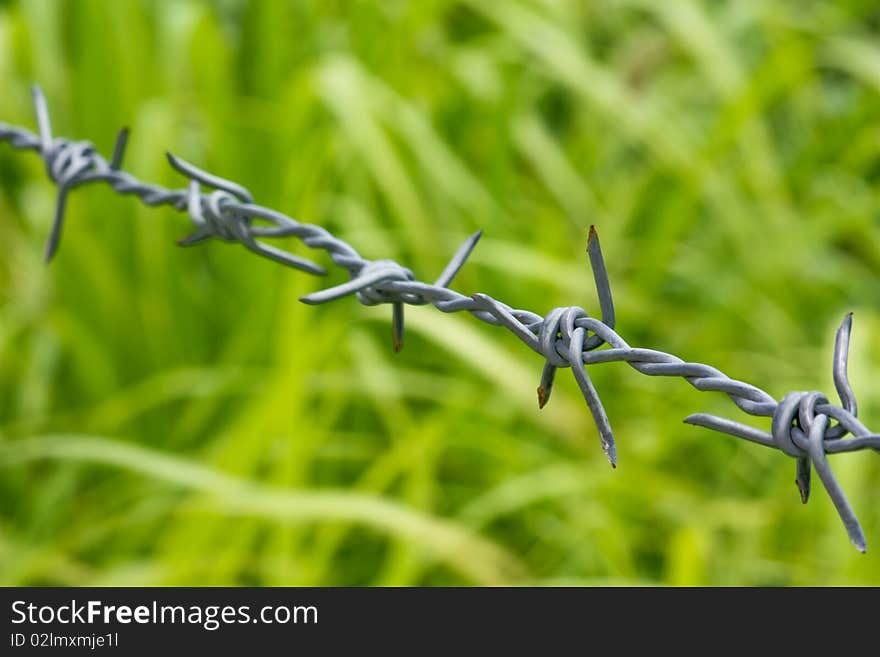 Barbed wire on blur background