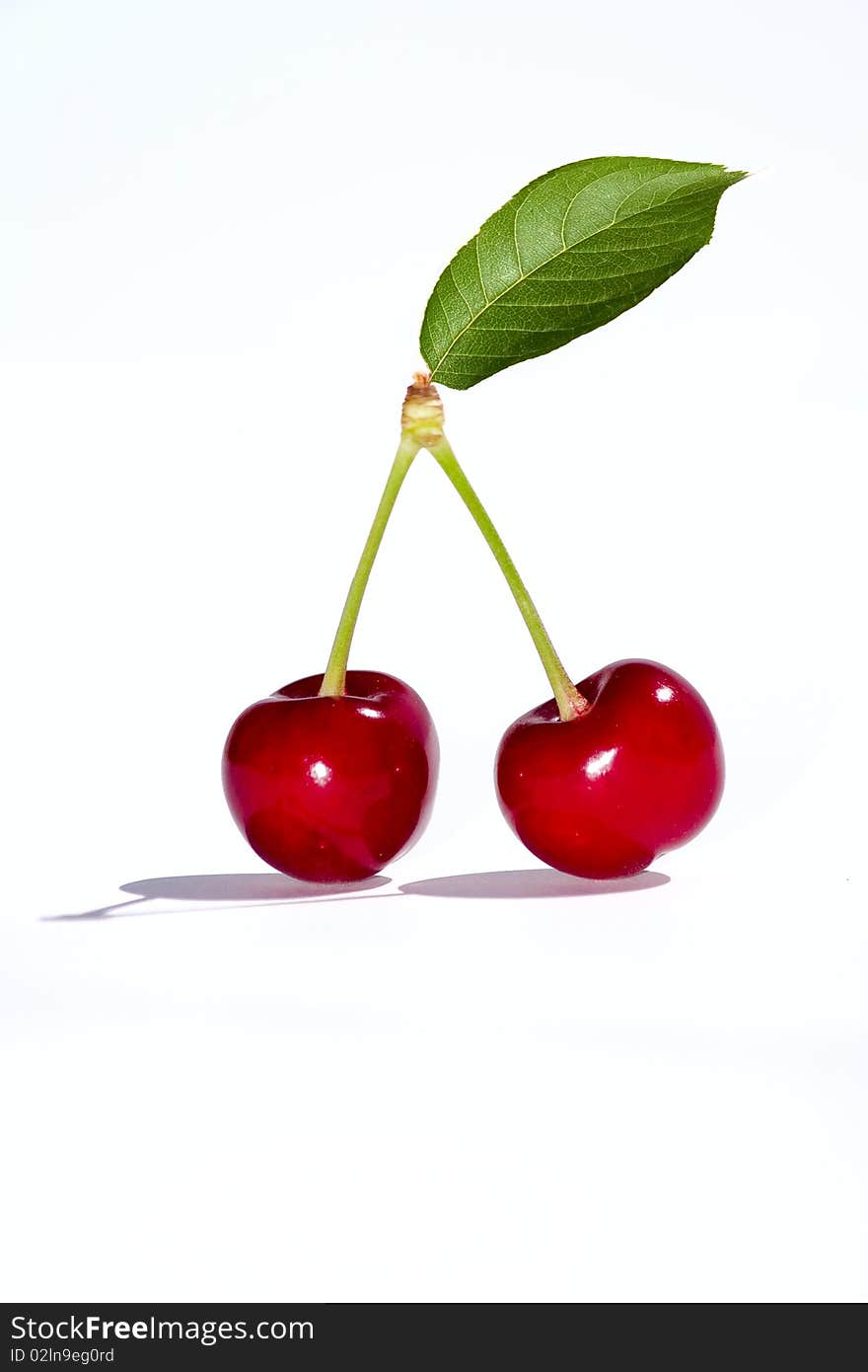 Two Cherries With Leaf