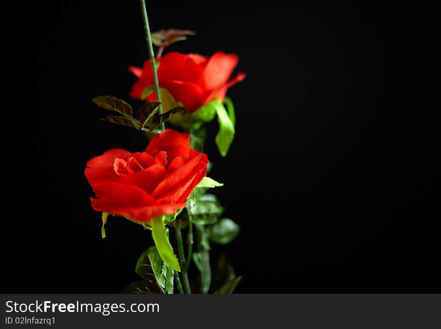 Plastic rose flower in front of black background. Plastic rose flower in front of black background