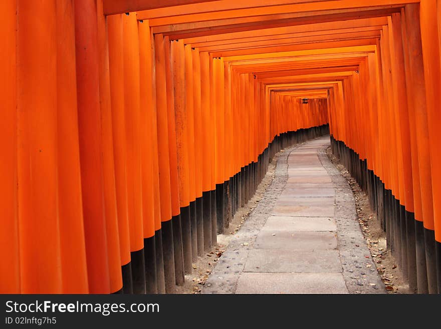 Tora of Fushimi Inari Taisha Shrine