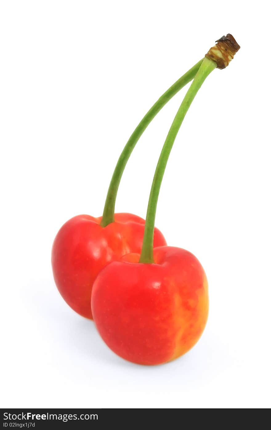 Two cherries against white background