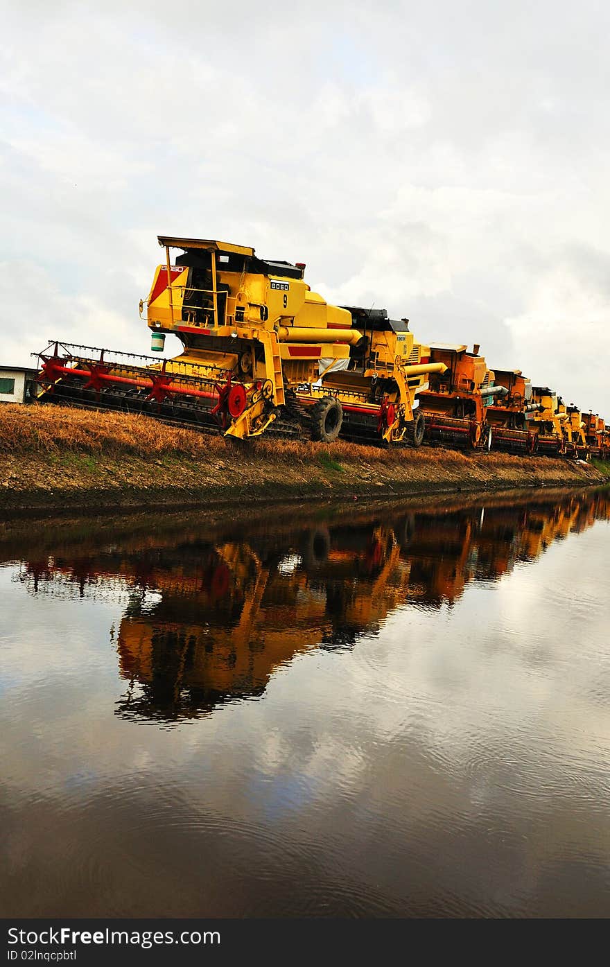 Paddy field and Harvest Machine.