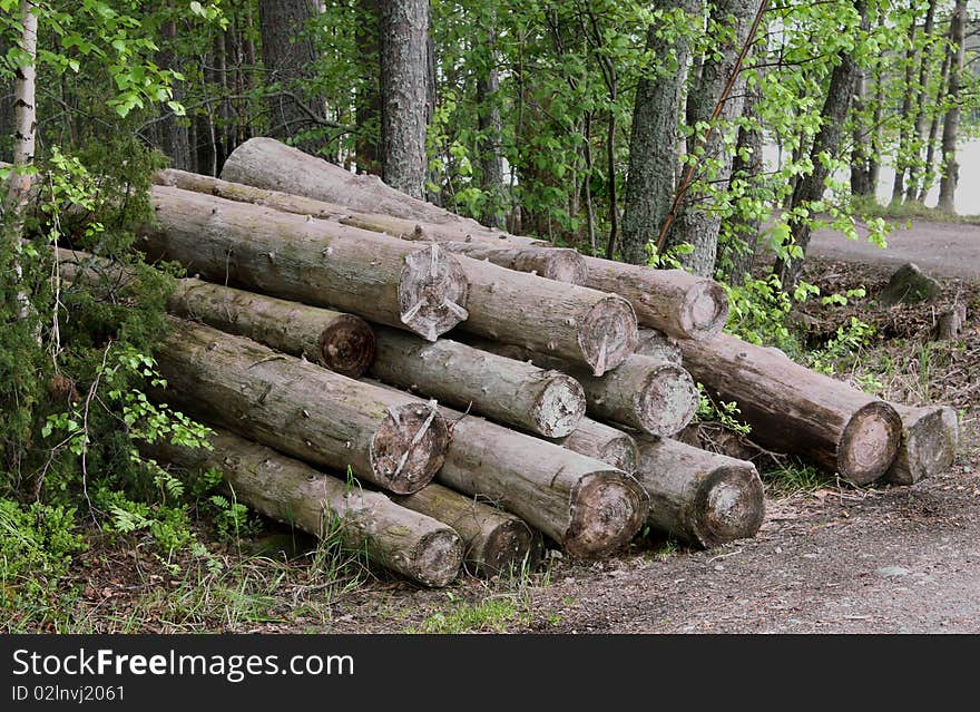 Unnecessary logs lay near road