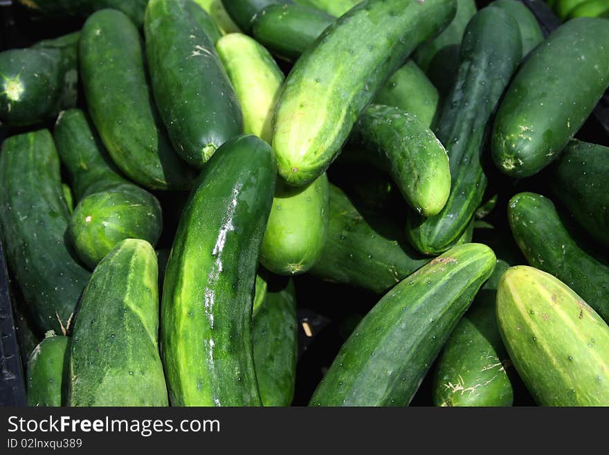 Delicious cucumbers on display at a farmers market.