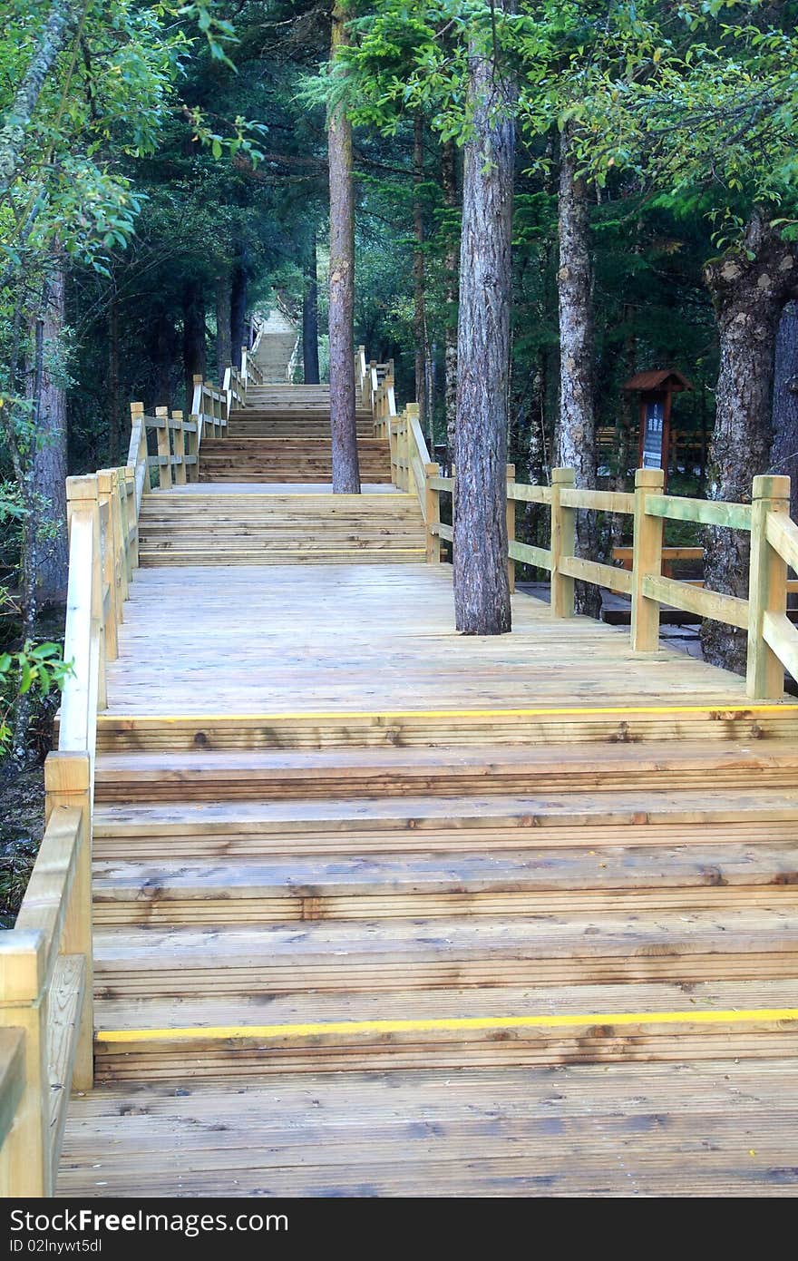 A crooked wooden pathway through a dense forest,huanglong,sichuan province in china. A crooked wooden pathway through a dense forest,huanglong,sichuan province in china