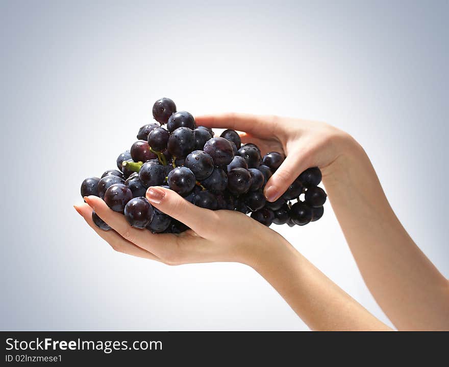 Image of fresh and tasty grapes held in human hands. Isolated on a ligh blue gradient background. Image of fresh and tasty grapes held in human hands. Isolated on a ligh blue gradient background.