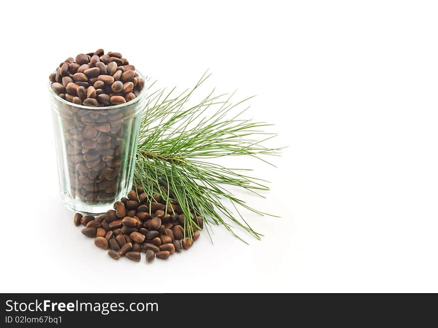 Glass with cedar nutlets on a white background