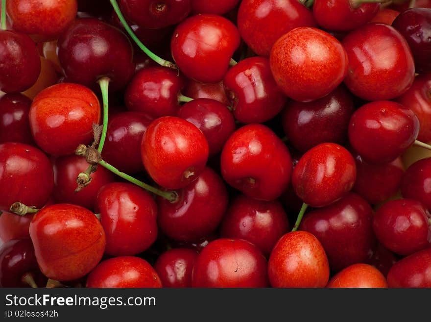 Freshly picked heap of cherries. Freshly picked heap of cherries