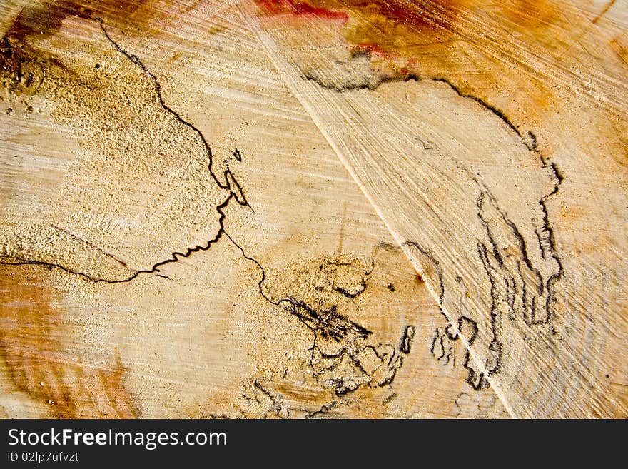 Cut log wood background texture.