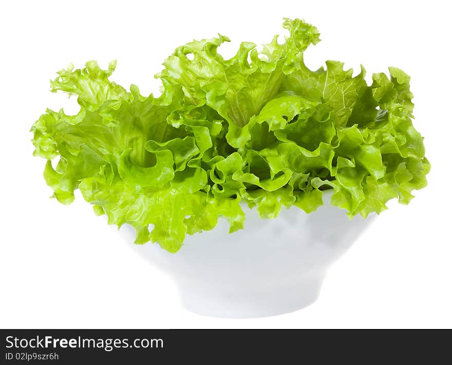 Lettuce salad