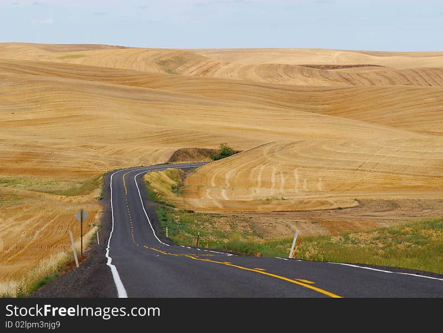 A road cuts through wheat fields, after the harvest in the Palouse, eastern Washington's wheat growing region. A road cuts through wheat fields, after the harvest in the Palouse, eastern Washington's wheat growing region.