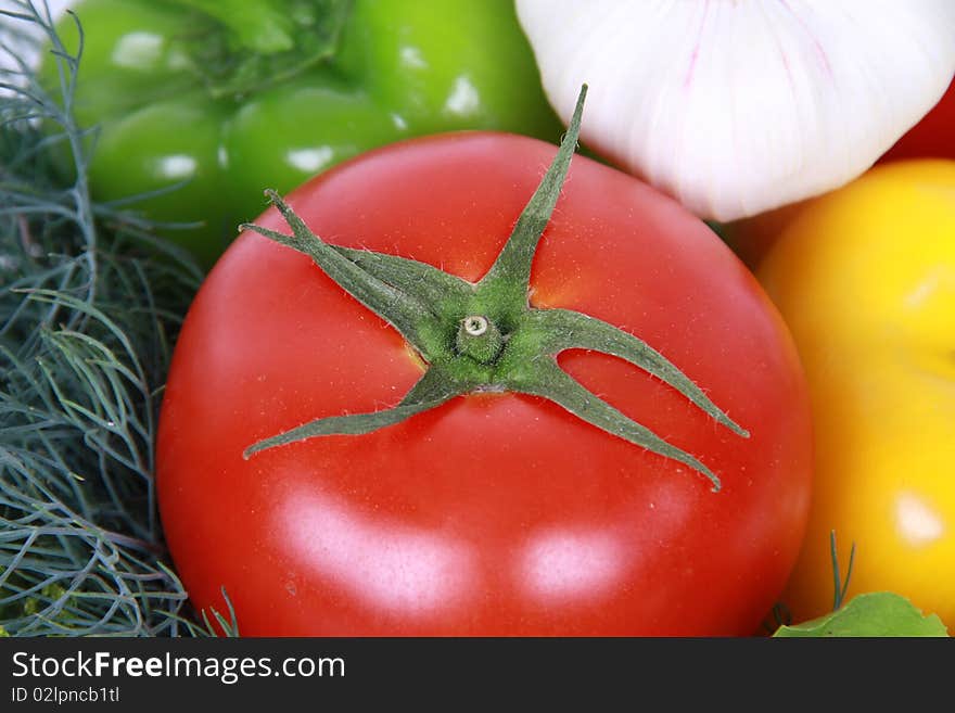 Fresh tomato against vegetable 1