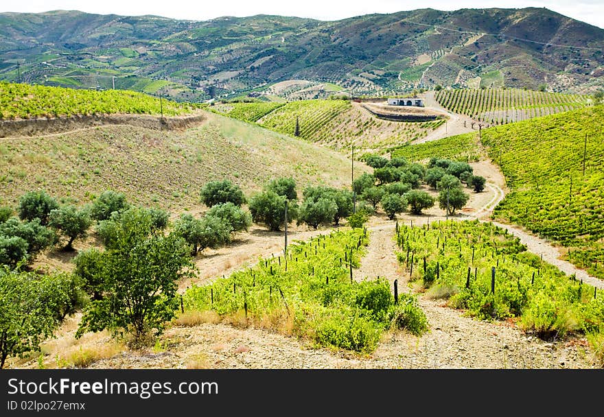 Douro Valley