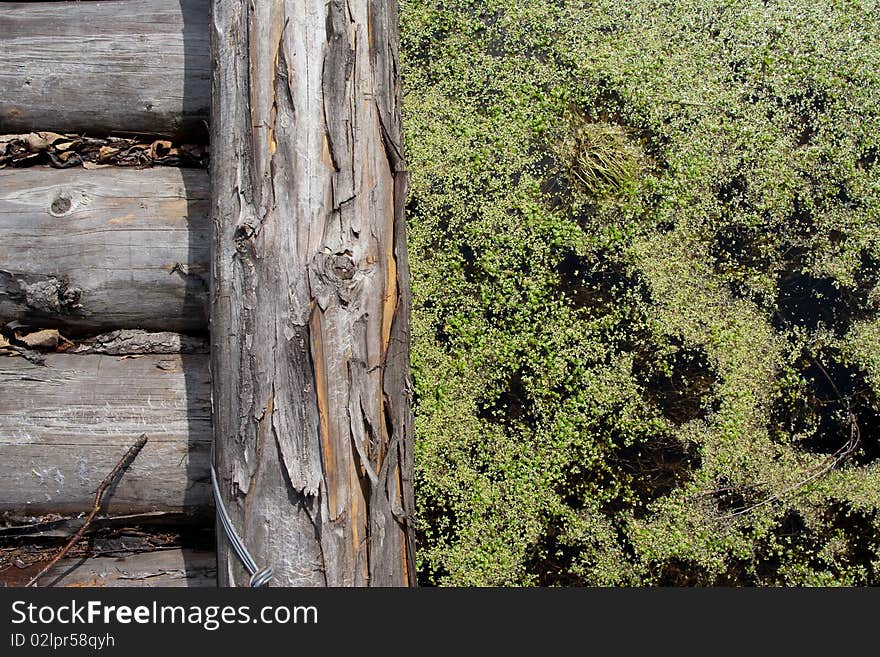 Wooden Bridge