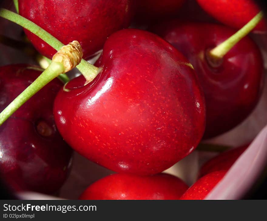 Red fresh summer cherries closeup