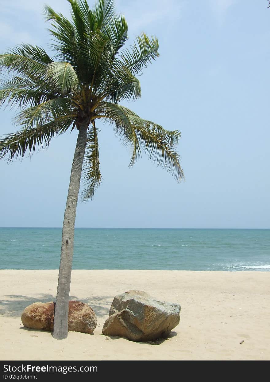 A coconut and two rock