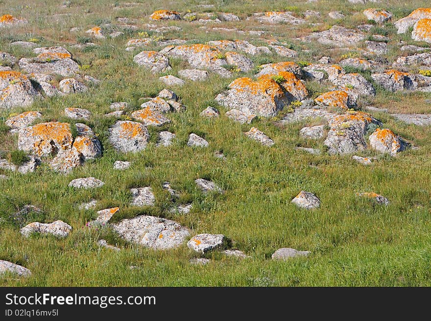 Landscape with grass and rocks