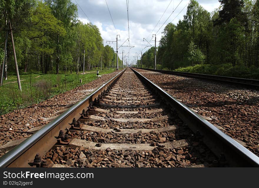 Railwayroad in the forest in summer