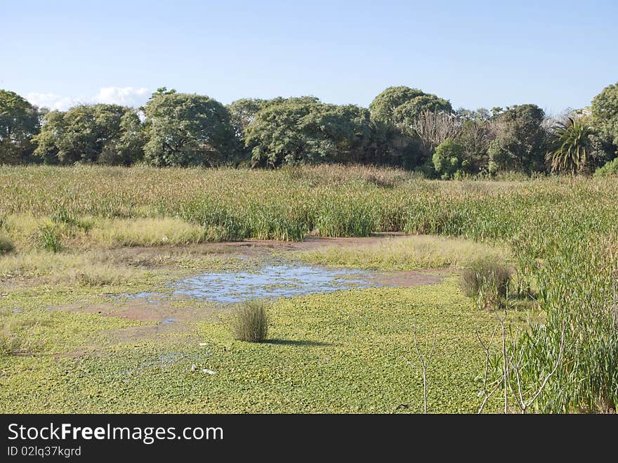 Buenos Aires Ecological Reserve