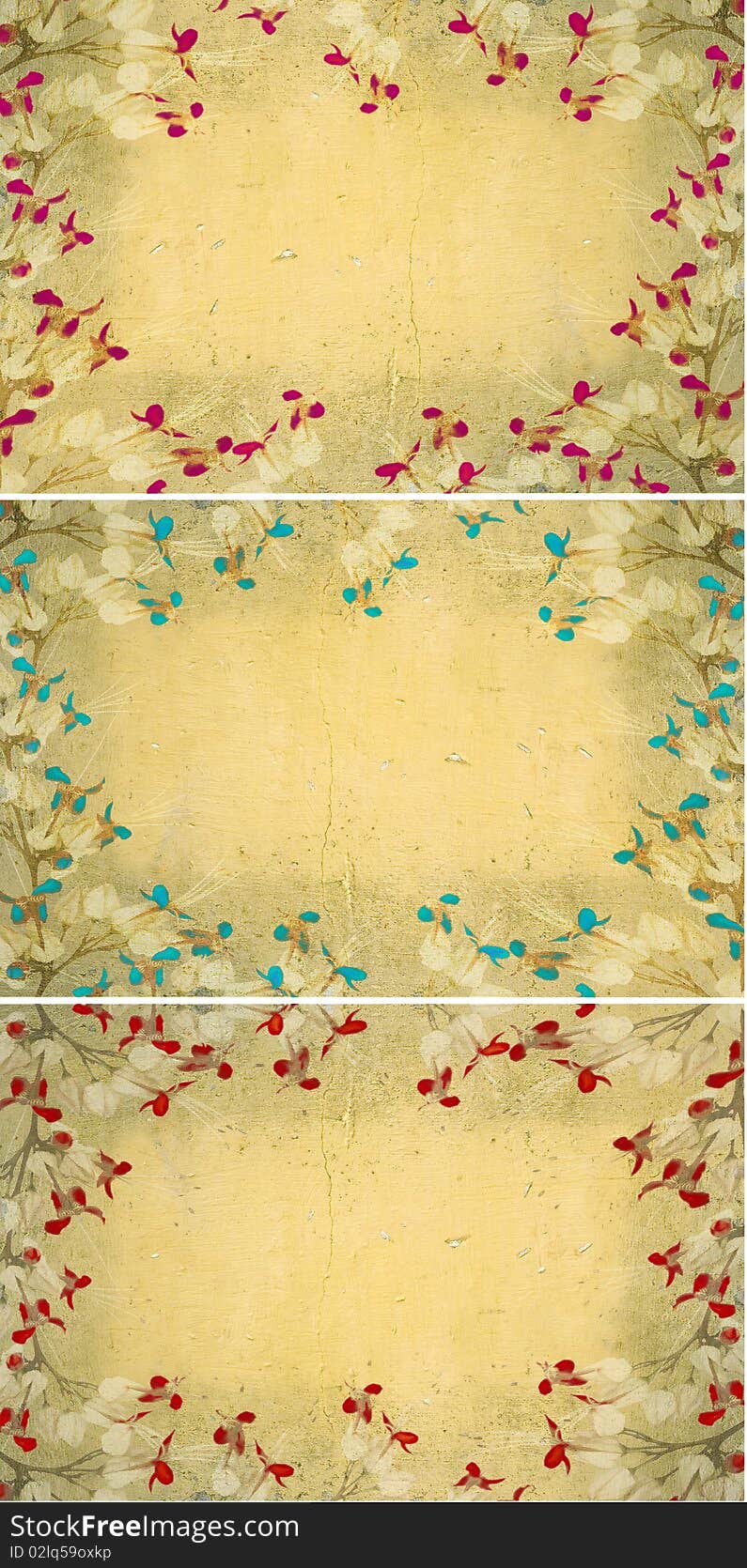 Butterfly flower frames on light grunge wall collection. Butterfly flower frames on light grunge wall collection