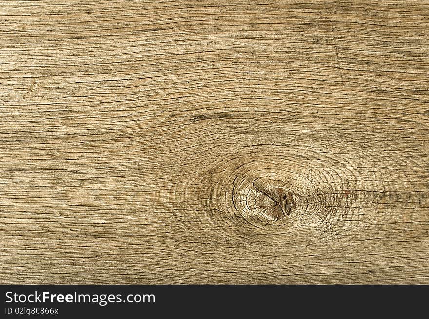 Close-up of wood. Brown wood material useful for background.