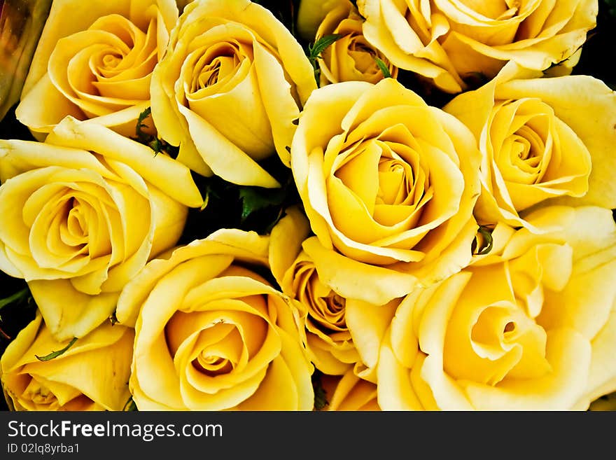 Macro of a yellow flowers bouquet