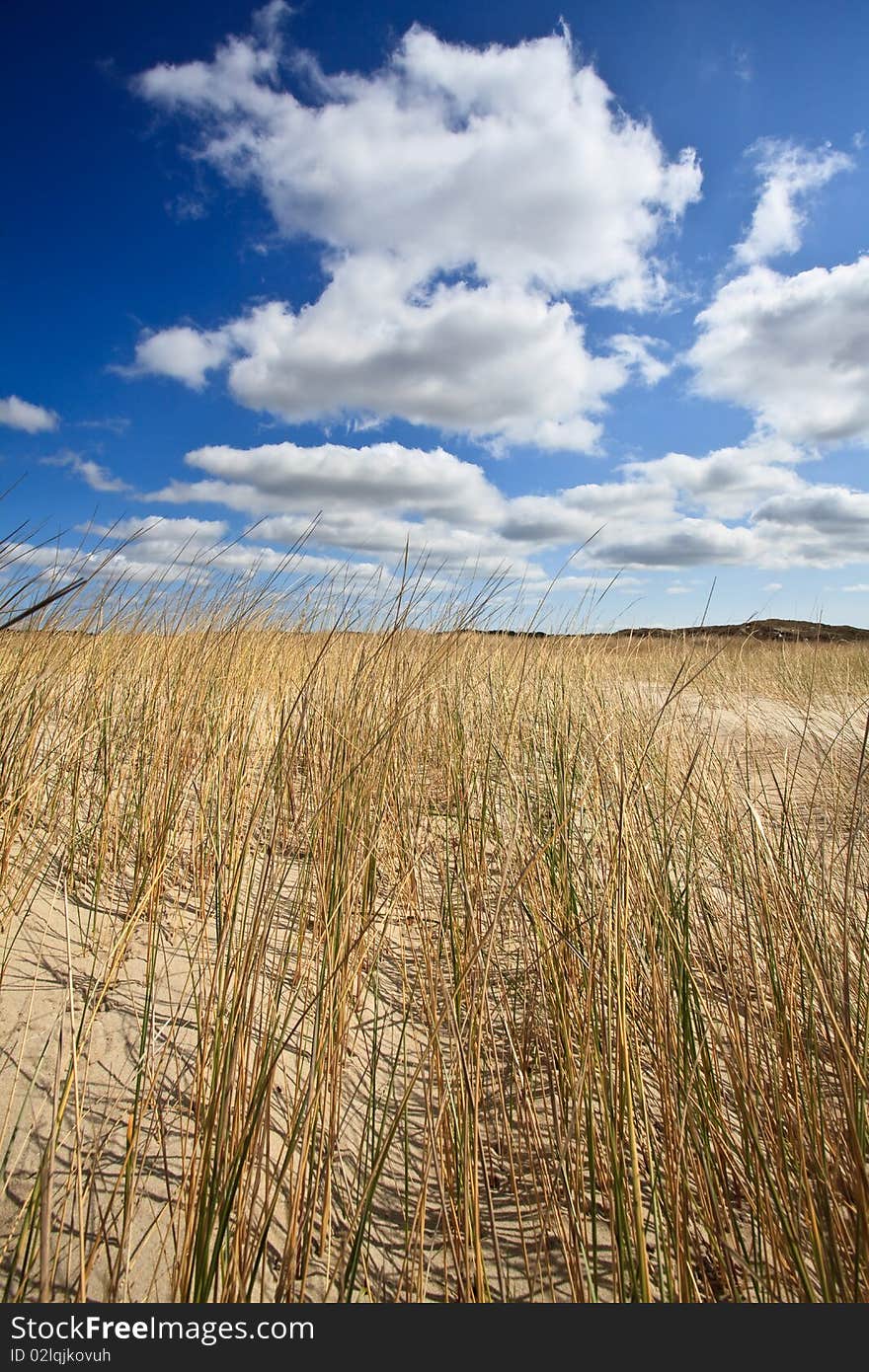 Sand dunes near to the sea with cloudy sky