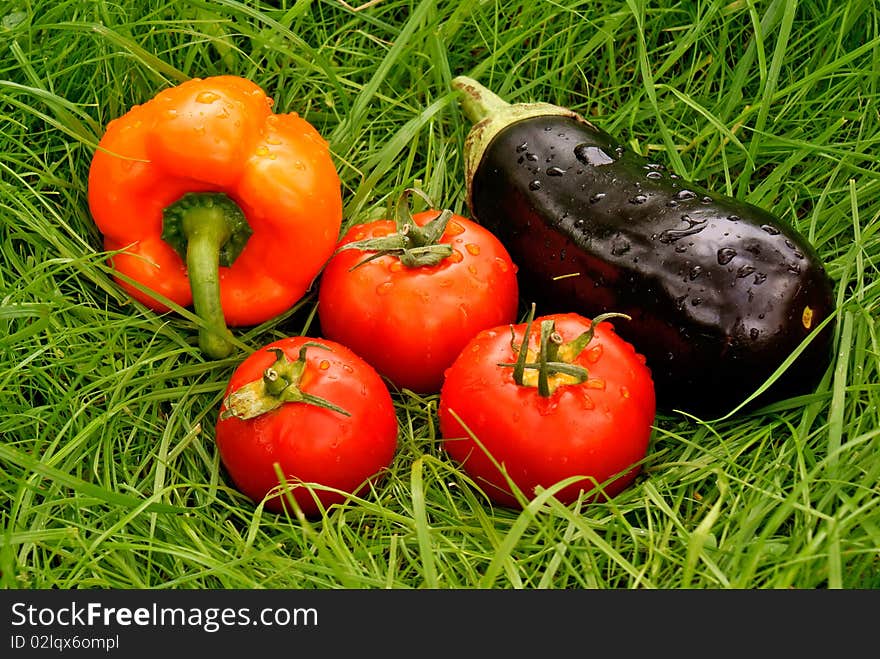 Appetizing light vegetables snack