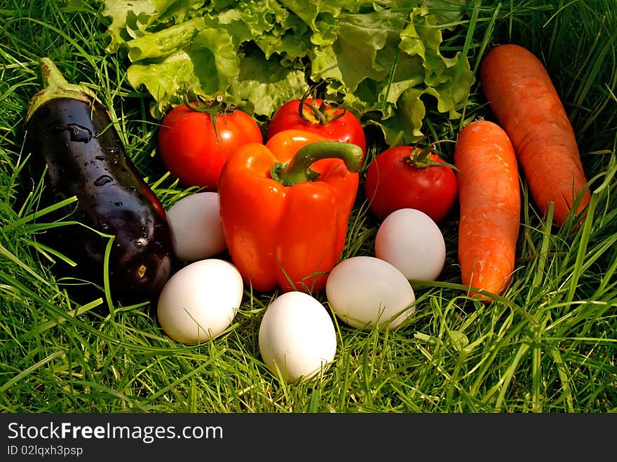 Appetizing light vegetables snack