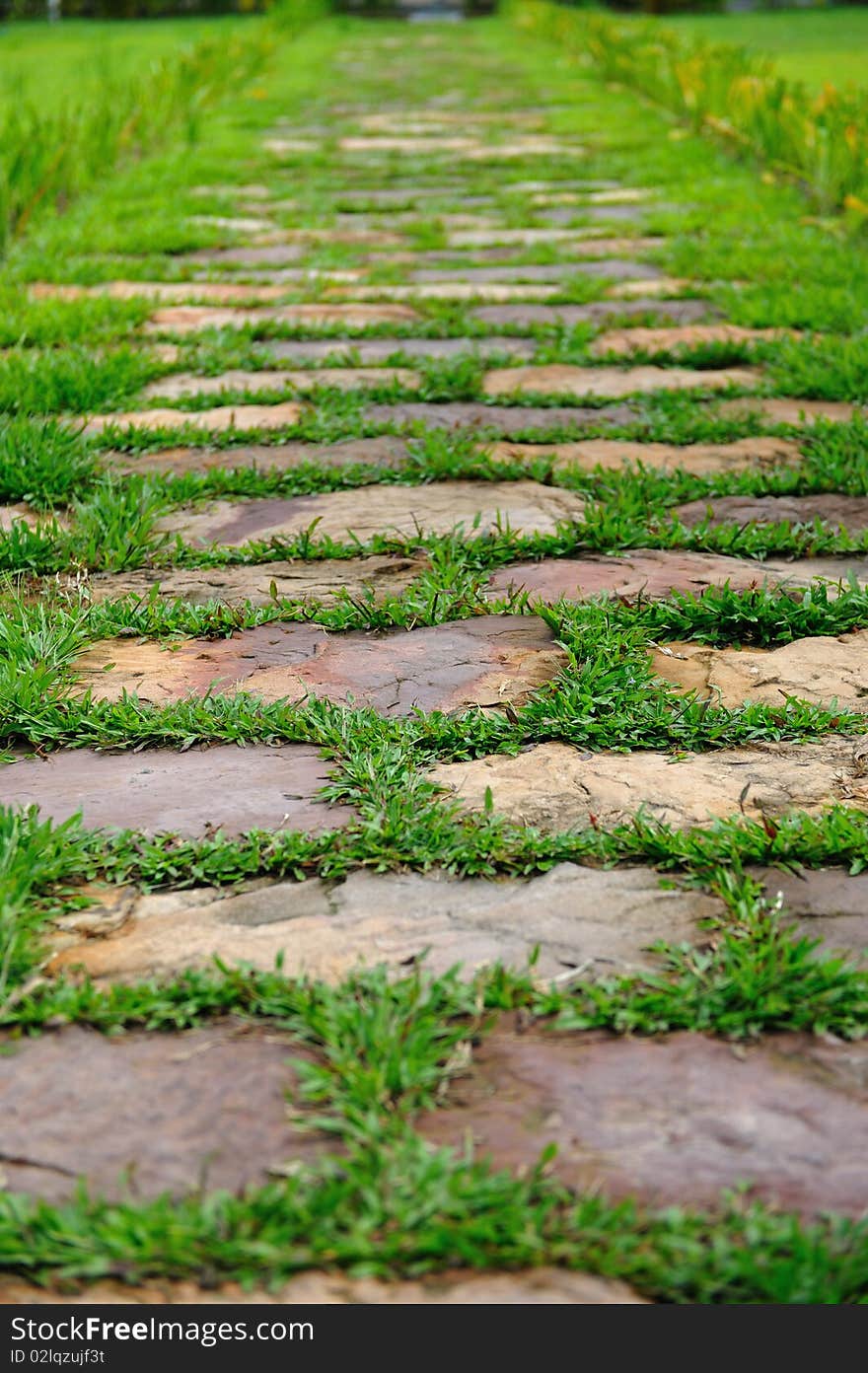 A stone path covered with grass in Cambodia. A stone path covered with grass in Cambodia