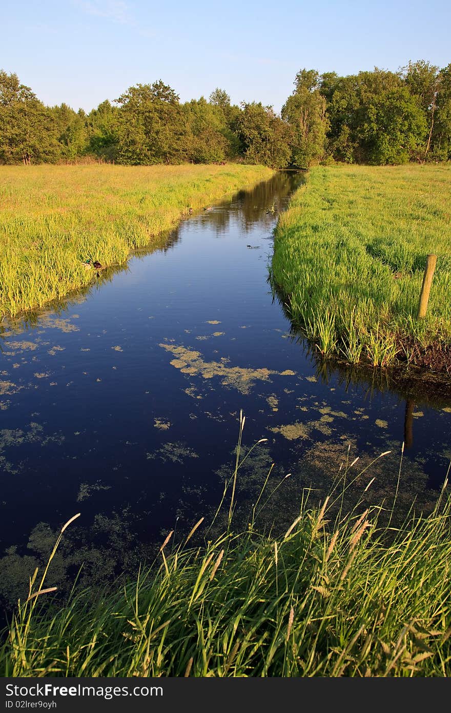 Grassland in the countryside