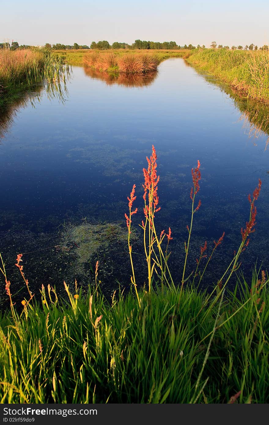 Grassland in the countryside